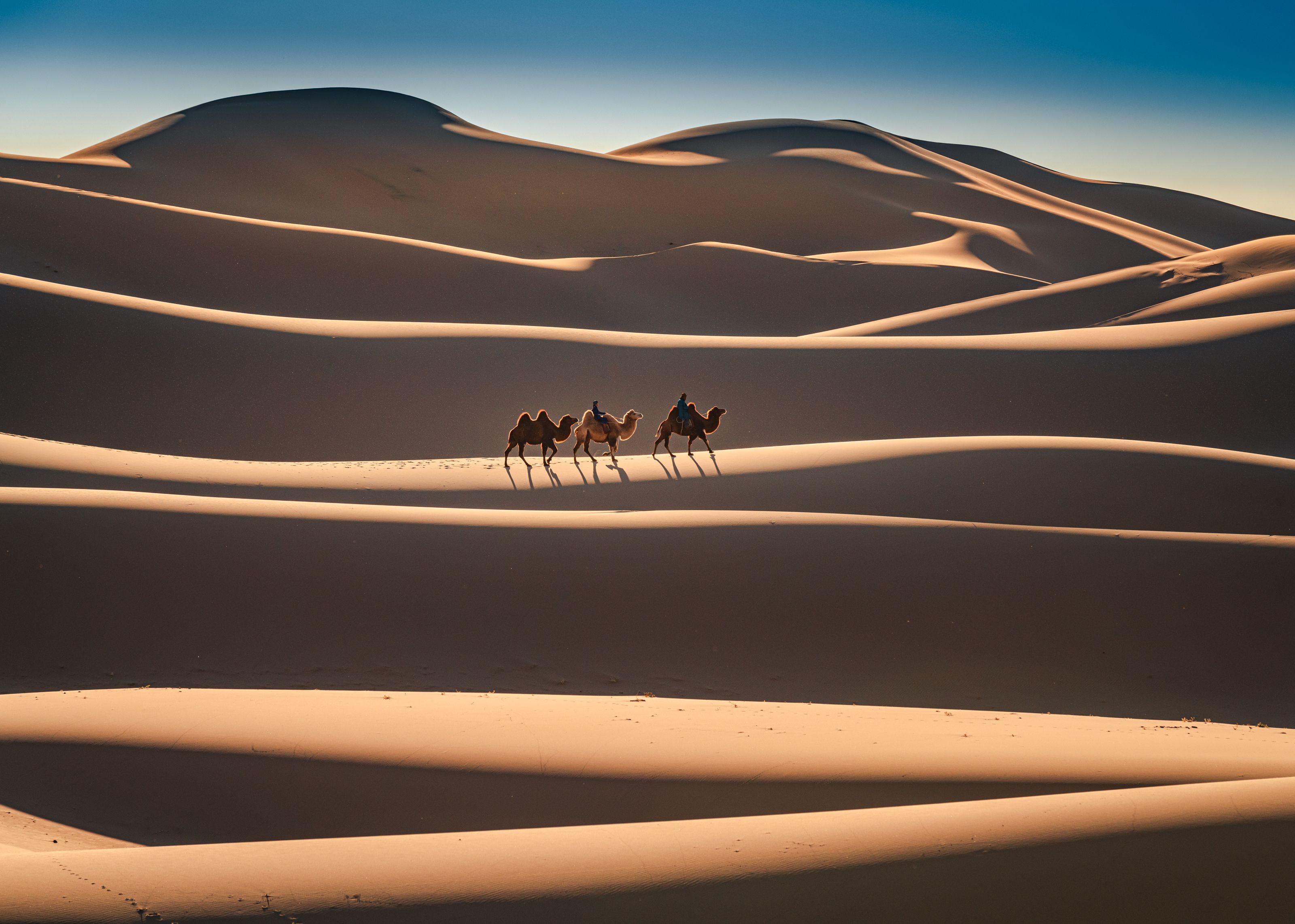 Gobi Desert is one of the biggest deserts in the world.