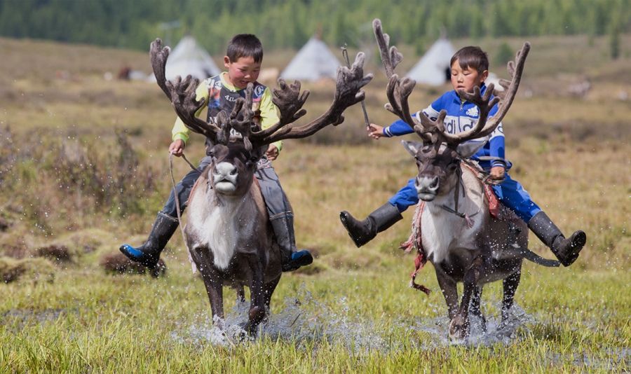 Young reindeer herders.
