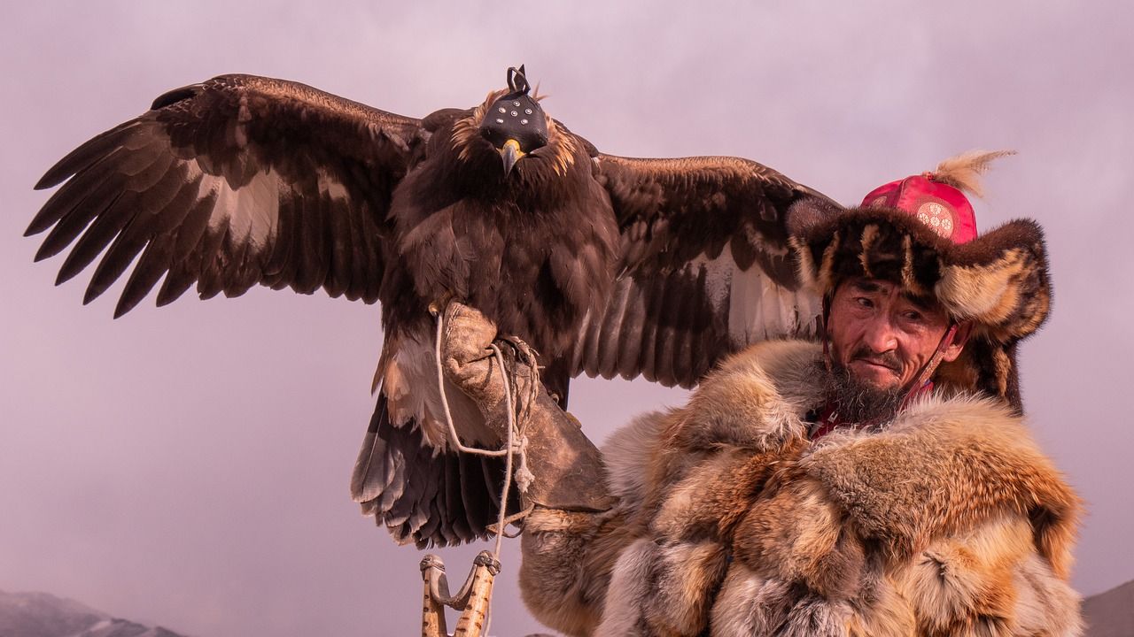 eagle-hunter-7668879_1280.jpg