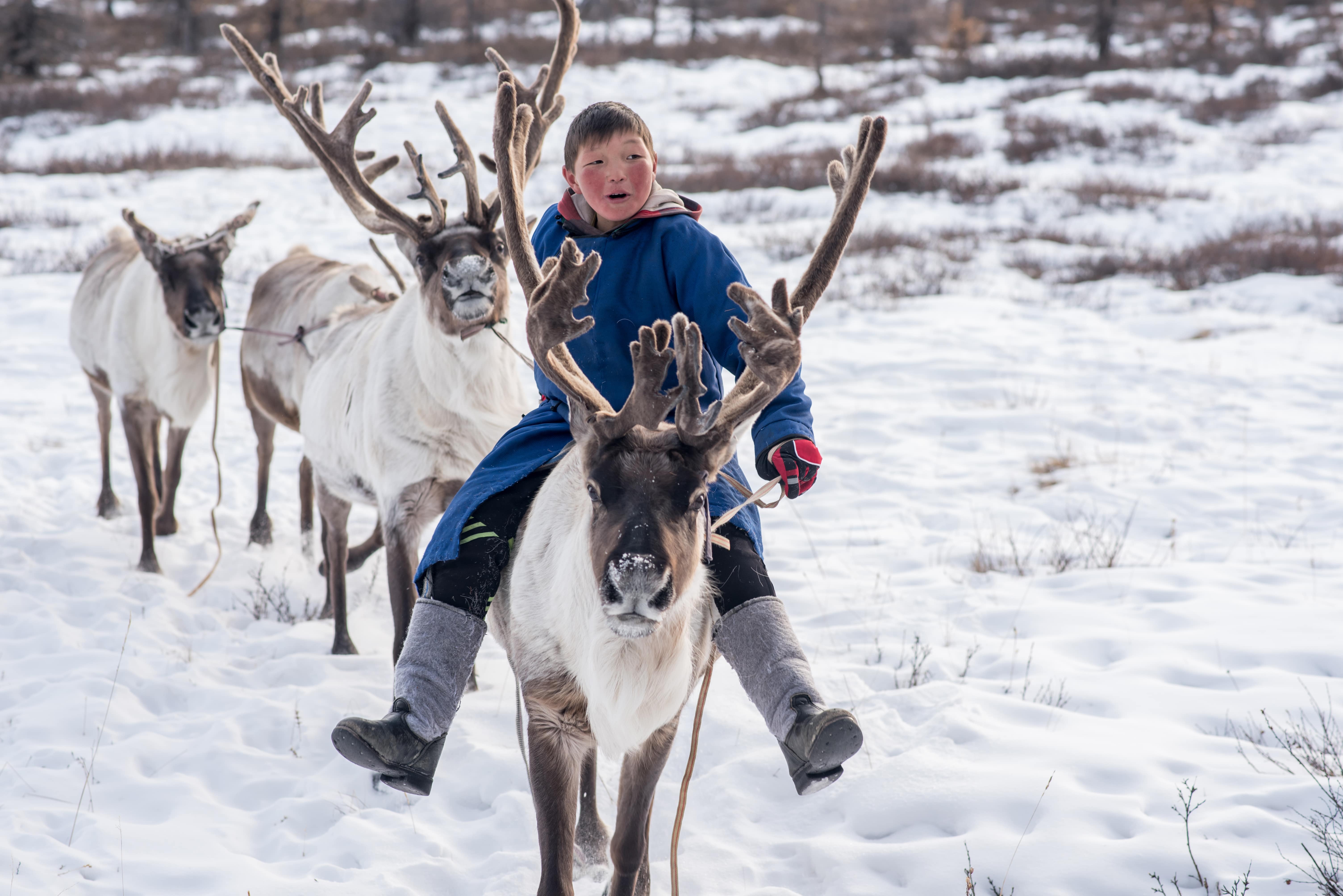 mongolian-reindeer-traditionally-tsaatan-family-their-reindeers-taiga-mongolia-min.jpg
